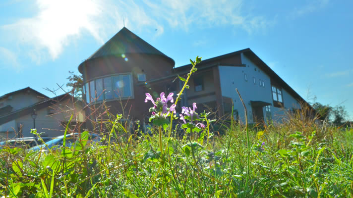 ハルムこどもえん